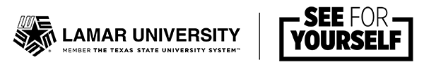 wordmark black sfy