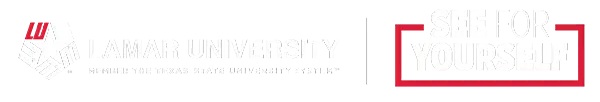 wordmark black sfy