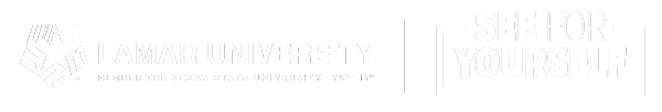 wordmark black sfy