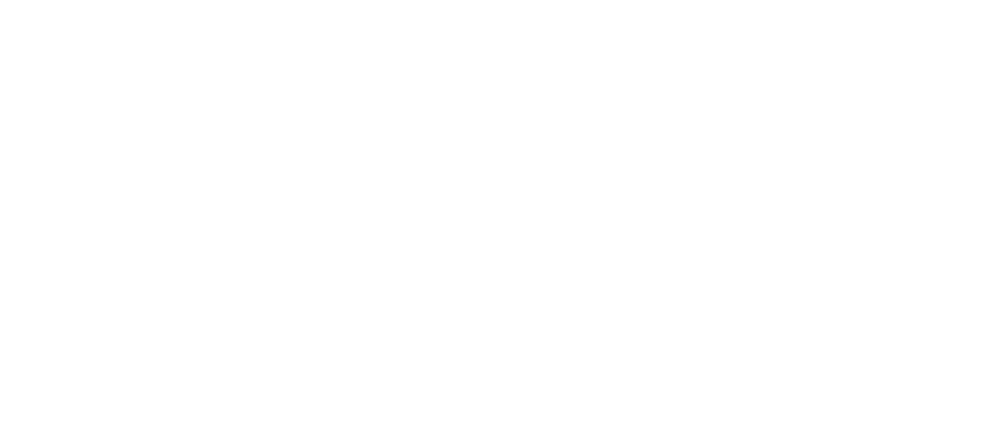wordmark black sfy